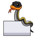 Cute black copper rat snake cartoon with blank sign