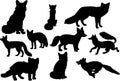 fox silhouette, fox silhouette Set, Royalty Free Stock Photo