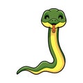 Cute easten racer snake cartoon