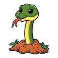 Cute easten racer snake cartoon out from hole