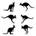 Set of kangaroo silhouettes vector Royalty Free Stock Photo