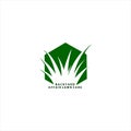 Grass Hexagon Nature Abstract Creative Business Logo