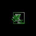 Green palm leaf in the square logo design template Royalty Free Stock Photo