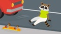 The raccoon fell off the skateboard onto the road in front of the car