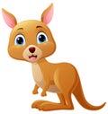 Cute little kangaroo cartoon on white background