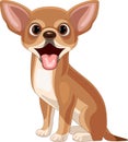 Cartoon chihuahua dog on white background