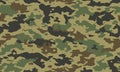 Camouflage seamless pattern. Trendy style camo, repeat print. Vector illustration.