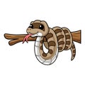 Cute gopher snake cartoon on tree branch Royalty Free Stock Photo