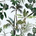 Tropical vintage palm, plant, plumeria flowers floral seamless border, vintage blue background. Royalty Free Stock Photo