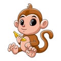 funny baby monkey holding banana Royalty Free Stock Photo