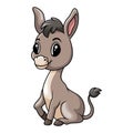 Cute baby donkey cartoon a sitting Royalty Free Stock Photo