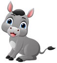 Cute baby donkey cartoon on white background Royalty Free Stock Photo