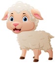 Cute baby sheep cartoon on white background Royalty Free Stock Photo