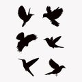 silhouette of a flock of birds on a white background new concept Royalty Free Stock Photo