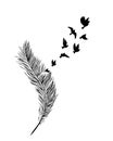 Feather illustration with butterflies silhouettes isolated on white background Royalty Free Stock Photo