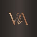 Initial Letter VA combine Flourishes Luxury