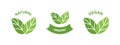 Organic, Natural, Vegan logo or label. Green leaf on white. Vector illustration