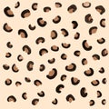 Leopard Skin Minimal Vector