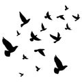 Silhouette Bird flying - shadow black ink icons of birds Flying- herons flying - egret Flying,