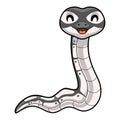 Cute axanthic ball python cartoon Royalty Free Stock Photo
