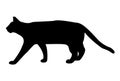 Cat domestic animal Silhouette Royalty Free Stock Photo