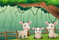 Cartoon goats in the jungle Royalty Free Stock Photo