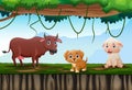 Cartoon farm animals in the jungle Royalty Free Stock Photo