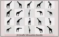 A giraffe animal silhouette set,set of fine giraffe silhouettes - black outlines on white,Giraffe vector Royalty Free Stock Photo