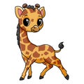 Cute funny baby giraffe posing