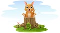 Cartoon little kangaroo sitting on tree stump