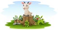 Cartoon baby goat sitting on tree stump Royalty Free Stock Photo