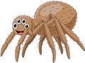 Cute tarantula cartoon on white background