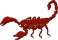 Cartoon scorpion on white background