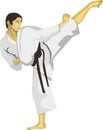 Karate Side Kick Martial Art Vector Royalty Free Stock Photo
