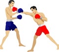 Boxing Tournament Sport Active Vector