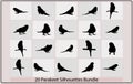 Vector of an parakeet Silhouette,Caturrita bird in profile view,Silhouette of a budgie,Vector parrot silhouettes of amazon jungle,