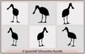 Vector silhouette of standing Spoonbill,Roseate Spoonbill bird logo design,Spoonbill Bird silhouettes vector collection Royalty Free Stock Photo