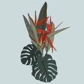 Hand drawn illustration of a beautiful strelitzia flowers and tropical exotic leaves bouquet.