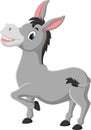 Cartoon funny donkey isolated on white background Royalty Free Stock Photo