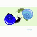 Two snails, drawing in vector. Blue shell, light background. Royalty Free Stock Photo
