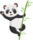 Cartoon cute baby panda hanging on the bamboo Royalty Free Stock Photo