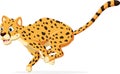 Cartoon happy cheetah running on white background Royalty Free Stock Photo