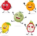 Cute cantaloupe, orange, mango, dragon fruit, pomegranate fruits cartoon characters