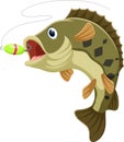 Cartoon Peacock bass fish jumping