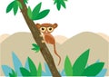 A Philippine Tarsier in a tree with Chocolates Hills in Bohol, Philippines Royalty Free Stock Photo
