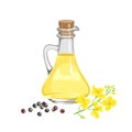 Canola seed oil in glass bottle, yellow flower and heap of seeds isolated on white background.