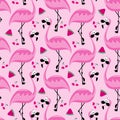 Cool flamingos seamless pattern, isolated on pastel pink backgound. Royalty Free Stock Photo