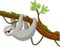 Cartoon sloth hanging on a tree branch