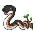 Cute gold albertisi snake cartoon on tree branch Royalty Free Stock Photo