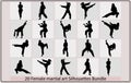 silhouette of a kickboxing woman,female martial art silhouette. female kickboxing,martial arts and yoga